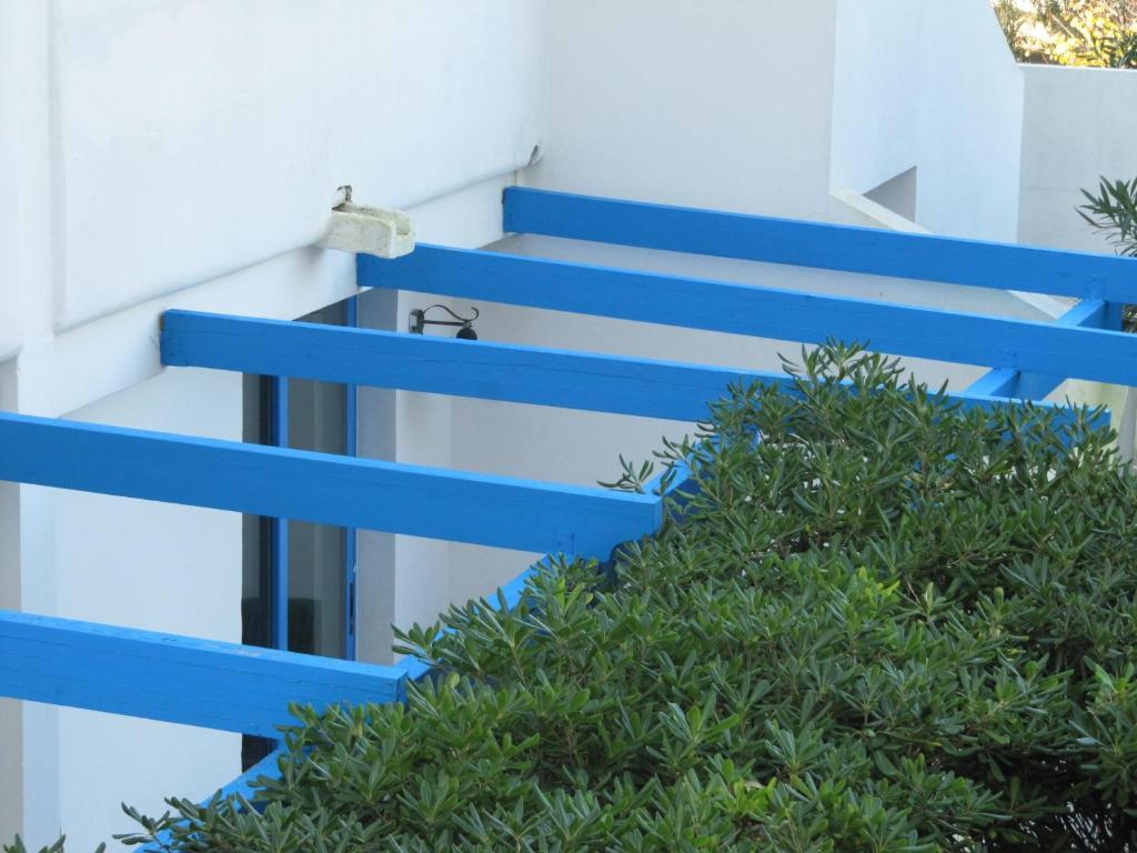 كونكا سبيكيولا Villa Flora Studios & Apartments المظهر الخارجي الصورة