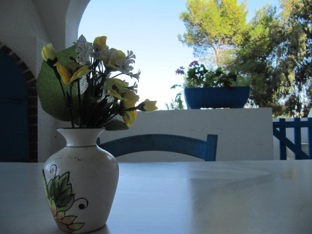 كونكا سبيكيولا Villa Flora Studios & Apartments المظهر الخارجي الصورة